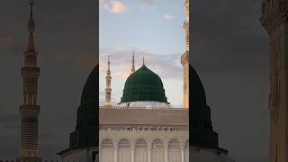 Aameen ☘️🕊️makkahmadina shortvideo mashallah short [upl. by Rodavlas]