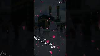 Islamic status😍🥰 shortfeed allah islamic shortfeed shortsviral trendingshorts youtubeshorts [upl. by Yrahca]