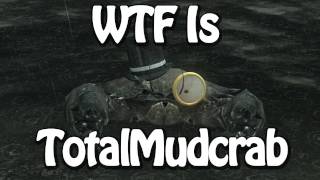 WTF Is TotalMudcrab [upl. by Odlaw892]