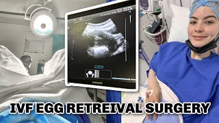 IVF PART II Egg Retrieval Surgery  Omaya Zein [upl. by Graaf]