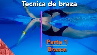 Tecnica de natacion de estilo pecho braza Parte 1 Brazos [upl. by Latsyrk]