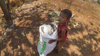 Elle cueille du KAPOK pour en faire des OREILLERS Cambodge  She picks KAPOK to make PILLOWS [upl. by Denney147]