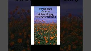 motivation song love bollywood motivationalquotes motivationalvideo [upl. by Lizabeth558]