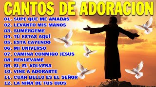 PODEROSAS CANCIONES CRISTIANAS PARA LIBERAR TU MENTE Y EL CORAZÓN 🕊️🕊️ SUPE QUE ME AMABAS 🙏🙏 [upl. by Mariquilla]