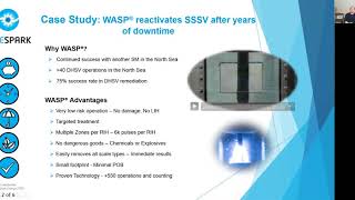 Case Study Scale Removal from Downhole Safety Valve [upl. by Tdnaltroc]