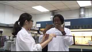 Why study Biomedical Sciences [upl. by Wallie]