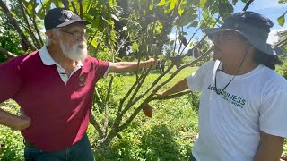 CACAO INTERCROP SA HI VALUE  VANILLA GARLIC CHIVES ATSUETE MADRE DE CACAO [upl. by Inan]