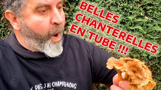 Superbe Chanterelles en tube de fin de saison ✅✅ [upl. by Killam922]