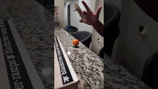 Fingerboard Name this trick 🎃 fingerboard fingerboarding short [upl. by Nivalc324]