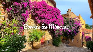 4K🇫🇷 BormeslesMimosas  A flower village that won the Entente Florare Gold Medal🥇🌺 2023 [upl. by Aihsela]