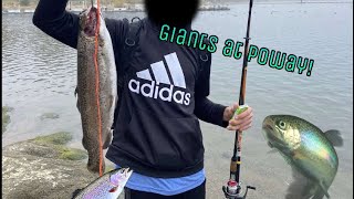 Lake Poway 20212022 Opening Stock Trout Fishing SoCal [upl. by Waylon]