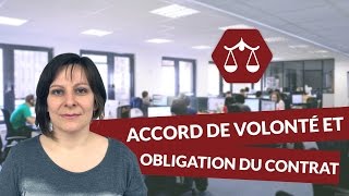 Accord de volonté et source dobligation du contrat  Droit  digiSchool [upl. by Eigram]