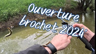 Mon ouverture brochet 2024 [upl. by Nelrac]