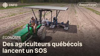 Crise des agriculteurs au Québec  des producteurs au bord de la faillite [upl. by Pry]