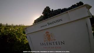 Sustentabilidad  Bodegas Salentein [upl. by Gignac]