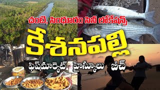 కేశనపల్లి  Kesanapalli village Tour  Fish Market  Beautiful Beach [upl. by Erlin963]