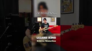 EHX Lizard King Bass Octave Fuzz Pedal Overview [upl. by Schear405]