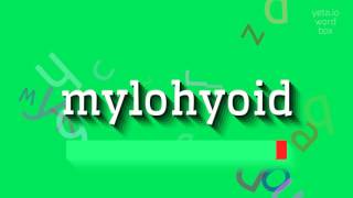 How to say quotmylohyoidquot High Quality Voices [upl. by Nosemaj]