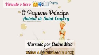 O Pequeno Príncipe de Antoine de SaintExupéry narrado por Elaine Melo vídeo 4  cap 12 e 13 [upl. by Thilda726]