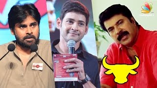 Mammootty Mahesh Babu Pawan Kalyan Extend Support For Jallikattu Protest [upl. by Reppart]