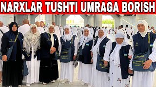 NOYABR OYIGA UMRA SAFARI YANGI NARXLAR CHIQTI URA [upl. by Orozco]