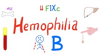 Hemophilia B [upl. by Alidia]