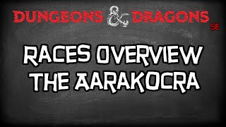 Dungeons amp Dragons 5e Races Tutorial quotThe Aarakocraquot [upl. by Laehcym]