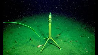 7 Eerie Sounds Recorded in the Deep Ocean [upl. by Ardnas790]