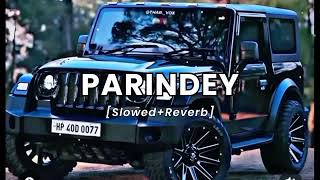 PARINDEY  Slowed  Reverb  Abreeq Alam [upl. by Nnairrehs]