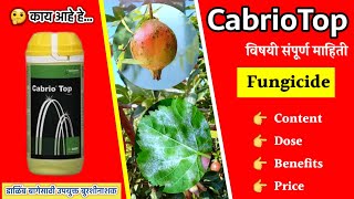 CabrioTop Fungicide  CabrioTop बुरशीनाशकाचे फायदे  फवारणी प्रमाण  Content  Price  BASF [upl. by Renrew12]