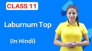 The Laburnum Top Class 11  Full हिन्दी में [upl. by Horowitz]