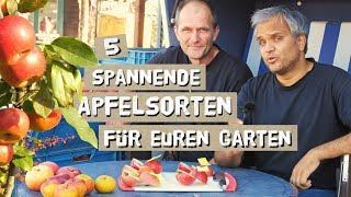 5 spannende und alte Apfelsorten für eure Gärten Probiert und Vorgestellt [upl. by Haziza]