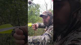 SHOTS GOING OUT RECURVE BOW archery bowhunting shorts [upl. by Silohcin693]