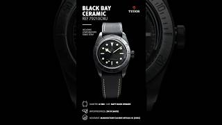 Tudor Black Bay Ceramic [upl. by Anesuza138]