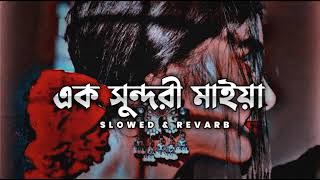 Ek Sundori Maiya Slowed amp Reverb  Jishan Khan Shuvo  Tamim Hasan [upl. by Woodman123]