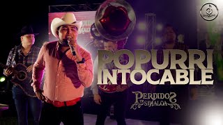 Perdidos de Sinaloa  Popurrí Intocable En Vivo [upl. by Noiztneb]