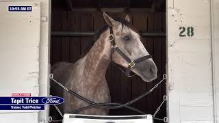 Tapit Trice Arrives at Churchill Downs [upl. by Lydnek]