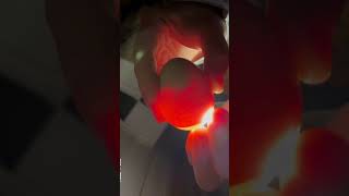 Importance of Candling Eggs [upl. by Hochman159]