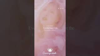 on the ground lyrics video kpop blackpink rosé like subscribe share lyrics ontheground [upl. by Akenn473]