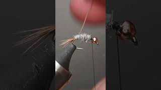 Hares Ear Nymph Fly Tying Short [upl. by Oimetra]