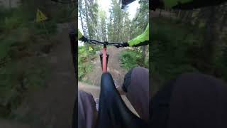 Some Rowdy Downhill in Trysil Bike Park [upl. by Buchanan934]