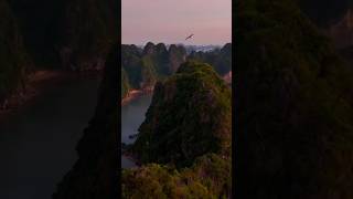 HaLong Bay PreMarathon Drone Shot unicef behindthescenes donate [upl. by Mackenzie251]