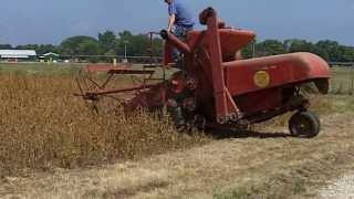 Antique Self Propelled Combines Harvesting Soybeans [upl. by Day581]