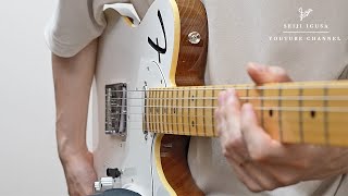 Nobody knows how to use a Telecaster Thinline properly [upl. by Tomlinson]