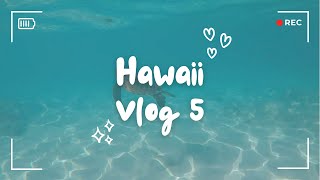 Hawaii Trip 𓆉𓆉 Vlog 5 [upl. by Noeruat]