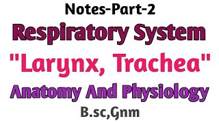 Notes Respiratory Systemquot LarynxTracheaquot  Anatomy and PhysiologyBscGnm [upl. by Atiloj882]