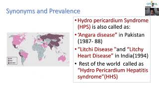 Hydropericardium syndrome [upl. by Barncard]