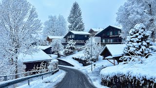 Snowy morning walk in Grindelwald Switzerland 4K  peaceful snowing in a fairytale village [upl. by Franciska]