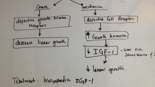 Laron dwarfism  cause and mechanism What is it why and treatment [upl. by Einahpets]