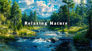 Relaxing Natural Sounds of Mountains and Forests  Natural meditation Music  Gentle Piano Music [upl. by Ytte]